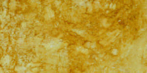 Ambar-Gold-by-Faso-Marble