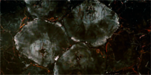 Black-Petrified by Faso Marble