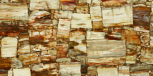 Brown-Petrified-Retro by Faso Marble