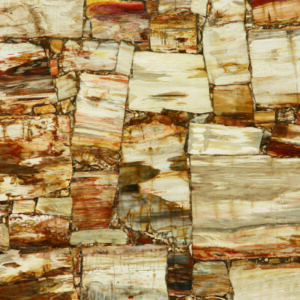 Brown-Petrified-Retro by Faso Marble