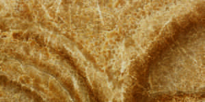 Macedonia-Honey-Onyx by Faso Marble